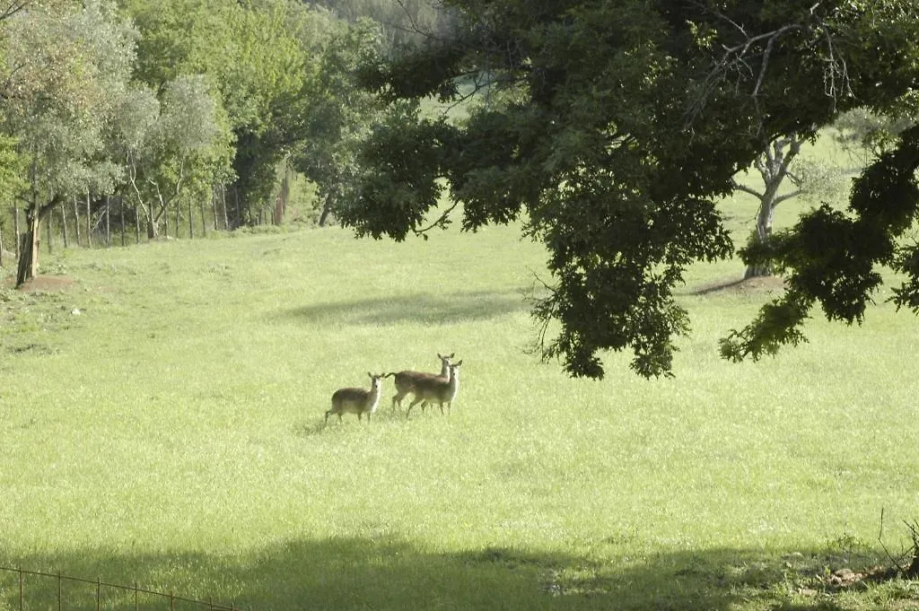 Il Daino Bianco Country Hotel Manciano Country house
