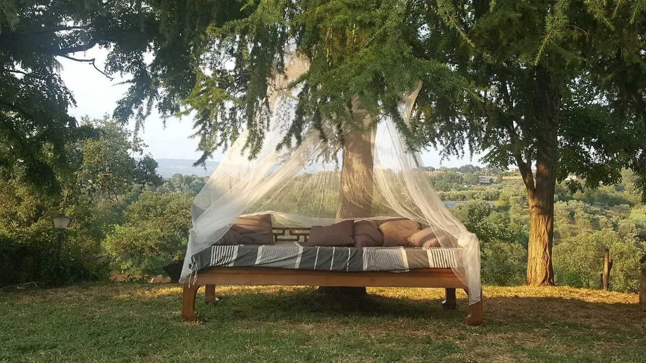 Country house Il Daino Bianco Country Hotel Manciano